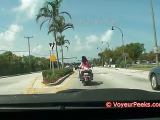 喧闹的美洲狮在她美丽的猫性交