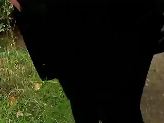 欺骗贱人